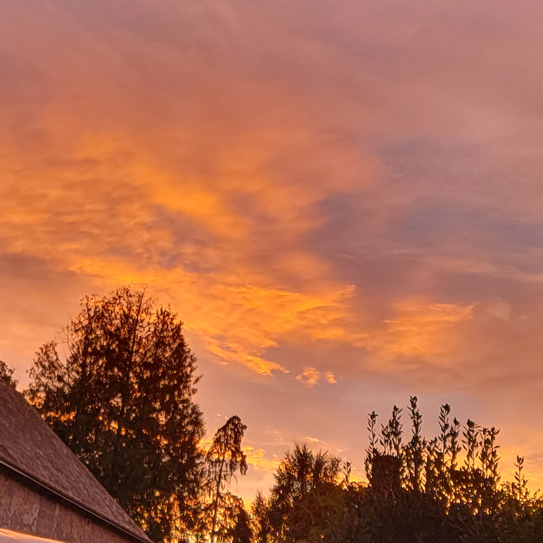 Photo d’Isabelle CREICHE